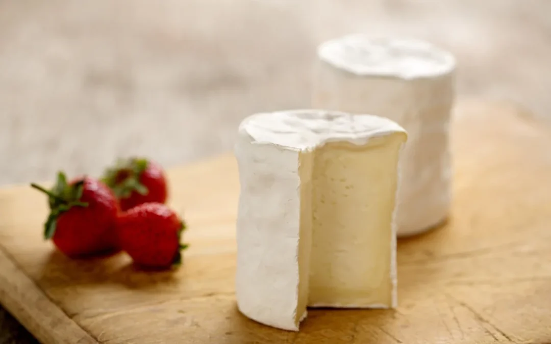 Vermont Farmstead Cheese Tasting – July 4th