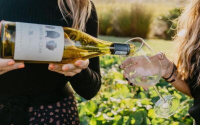 Wine Tasting – Jan 15, 4-6pm